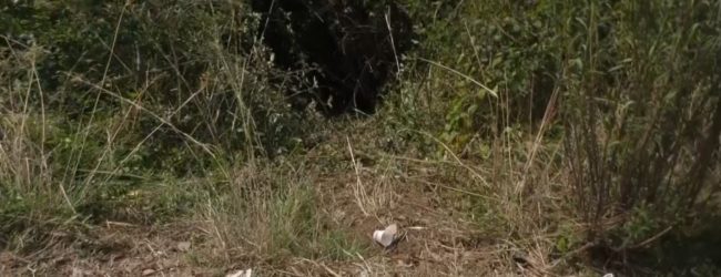 Delitto sulla Telesina: resta in carcere Loredana che ha ucciso il suo bambino