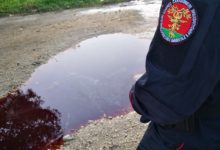 Montesarchio| Sversavano liquami organici di animali nel terreno, sequestrata azienda