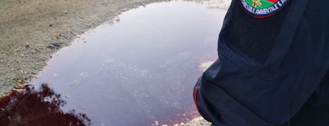 Montesarchio| Sversavano liquami organici di animali nel terreno, sequestrata azienda