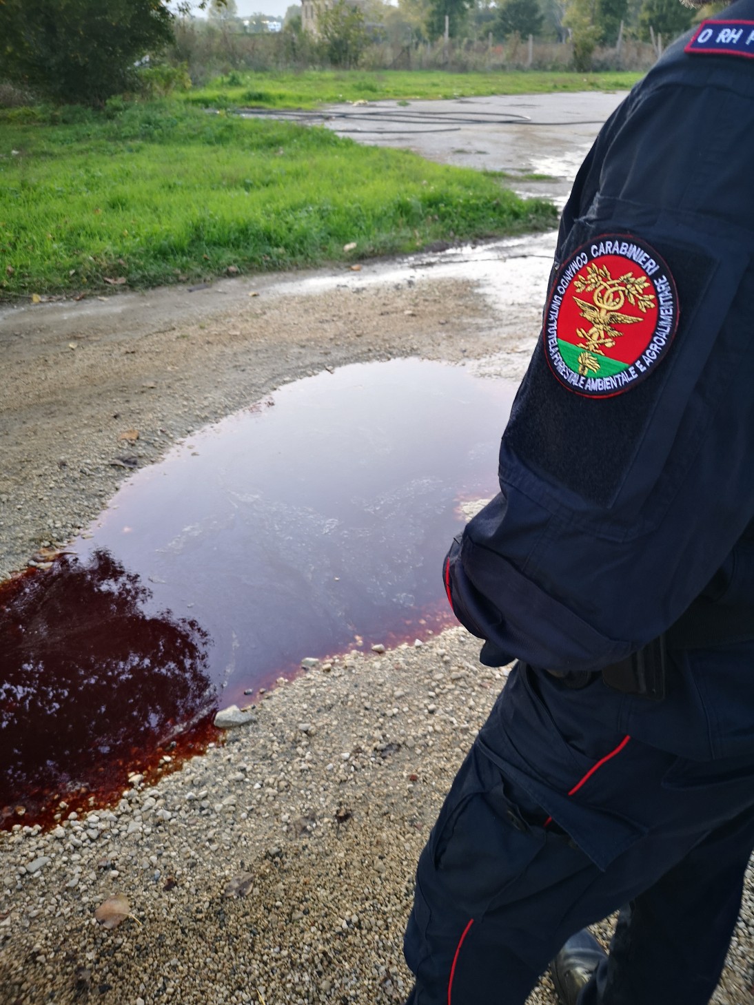 Montesarchio| Sversavano liquami organici di animali nel terreno, sequestrata azienda
