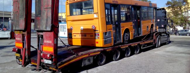 Benevento| Trotta Bus, avviata la rimozione dei mezzi più vecchi