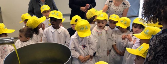 Frantoi aperti Campania, iniziativa di Coldiretti e Aprol in 12 oleifici della Campania