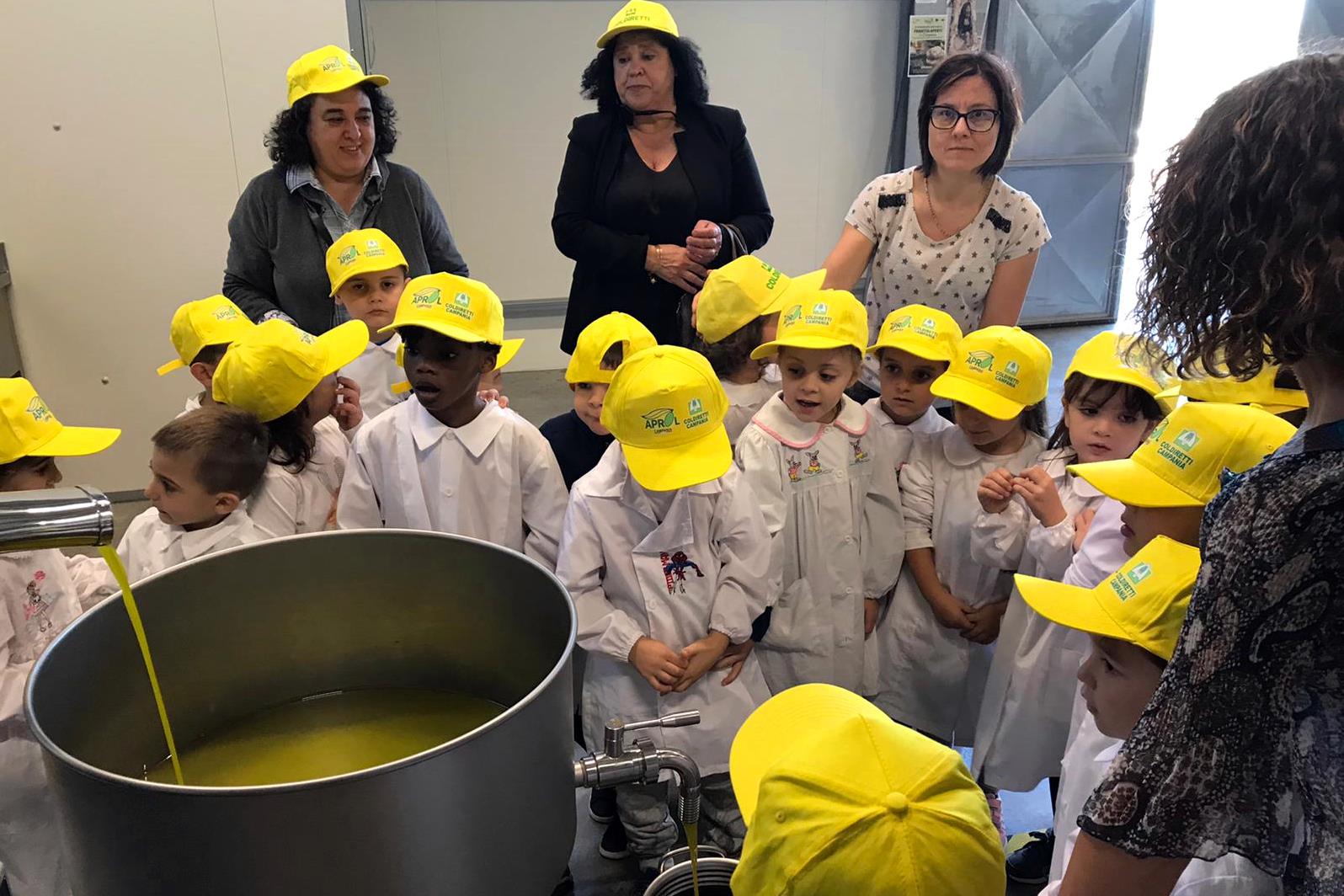 Frantoi aperti Campania, iniziativa di Coldiretti e Aprol in 12 oleifici della Campania