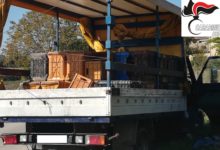 Amorosi| Spende 4mila euro alle slot machine e poi simula una rapina: deferito un 46enne