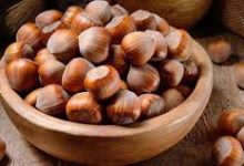 Benevento| Crisi nocciole, Coldiretti Campania: la Regione dichiari calamità naturale