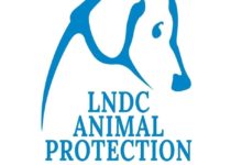 Benevento| Ladri rubano soldi dalla postepay della “Lega del Cane”