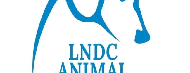 Benevento| Ladri rubano soldi dalla postepay della “Lega del Cane”