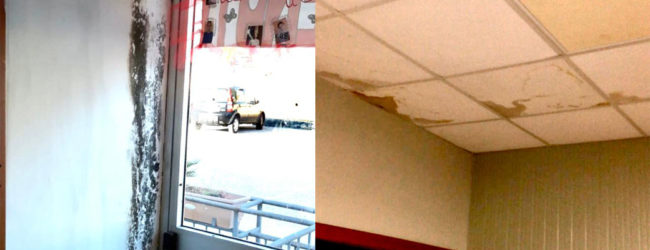 Pratola Serra, la tendostruttura adibita a scuola cade a pezzi e affoga nella muffa. La denuncia del gruppo consiliare “SiAmo Pratola Serra”