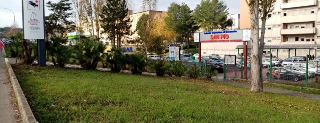 Covid, la lettera di un paziente: “San Pio eccellenza, guarito grazie a professionalità e umanità”