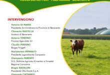 Benevento| “Valorizzazione degli scarti agricoli: la soluzione è il biometano”.Il Convegno alla Rocca