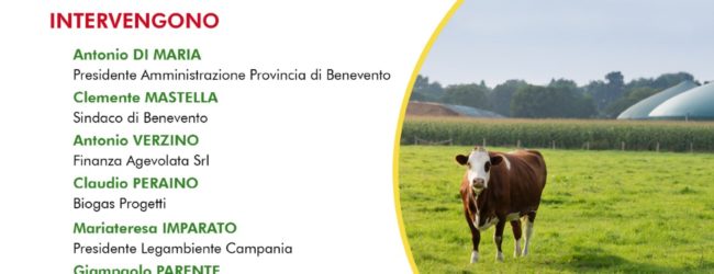 Benevento| “Valorizzazione degli scarti agricoli: la soluzione è il biometano”.Il Convegno alla Rocca