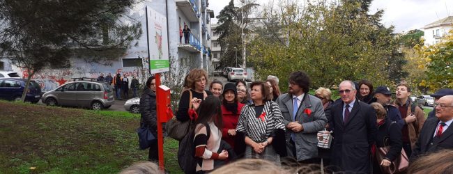 Benevento| Panchina rossa, nessuno tocchi le donne