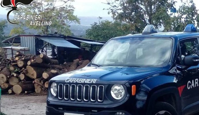 Gesualdo| Cane maremmano ucciso a colpi d’arma da fuoco, denunciato 70enne trovato con 2 fucili
