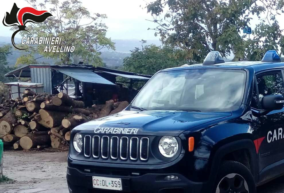 Ariano Irpino| Allevamento abusivo, scattano denuncia e sequestro di 11 agnelli