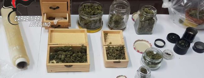 Avellino| Droga nascosta in una libreria, 23enne ai domiciliari