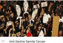 A Benevento nasce gruppo facebook “AAA Sardine Sannite Cercasi”