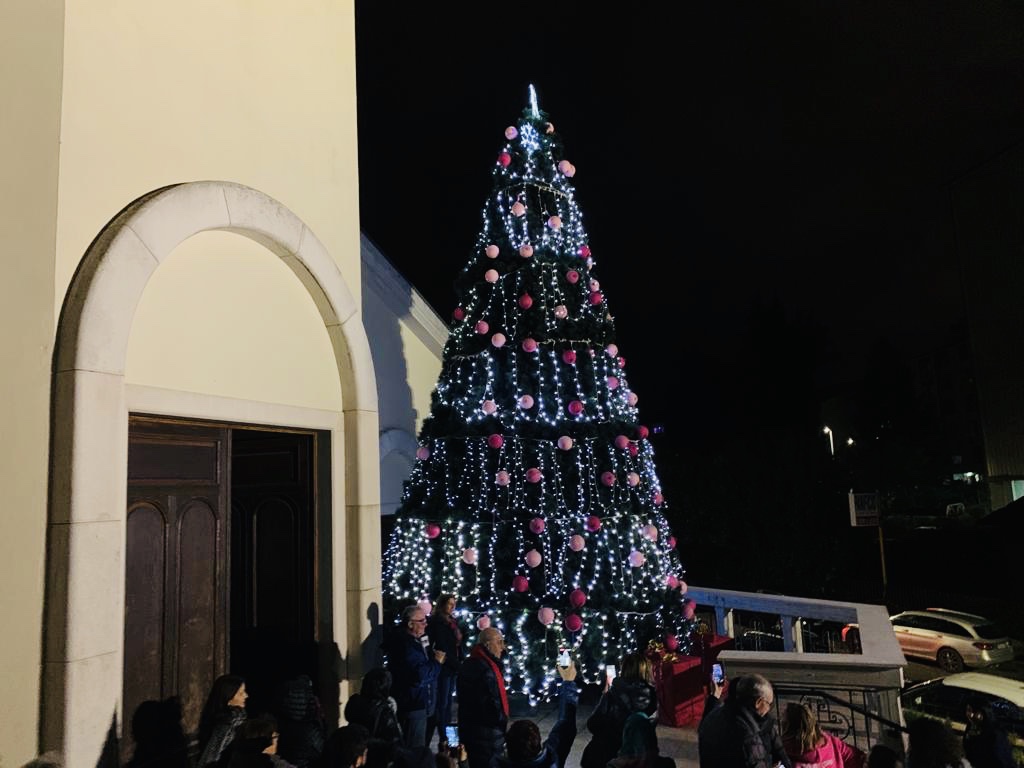 Avellino| Prevenzione e visite gratuite, illuminato a Rione Mazzini l’ultimo albero di “7 passi per un sorriso”