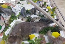 Benevento| “Christmas Time”, i Carabinieri Forestali sequestrano 300 kg di prodotti