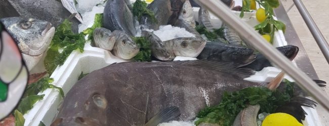 Benevento| “Christmas Time”, i Carabinieri Forestali sequestrano 300 kg di prodotti