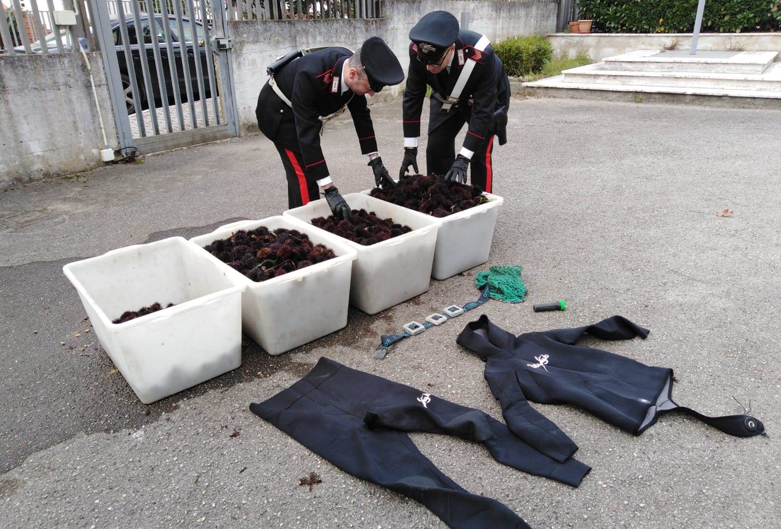 Amorosi| In auto con ricci di mare e attrezzatura per la pesca, denunciati tre baresi