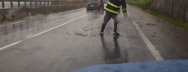 Stradale:bilancio di una notte di maltempo