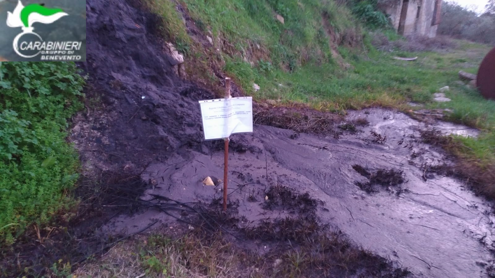 Apice| Inquinamento ambientale:deferito in stato di libertà il proprietario di un frantoio