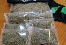 Benevento| Possedeva 3kg di marijuana in casa, domiciliari per 44enne