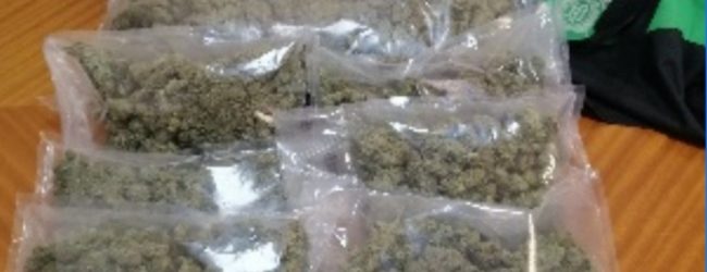 Benevento| Possedeva 3kg di marijuana in casa, domiciliari per 44enne