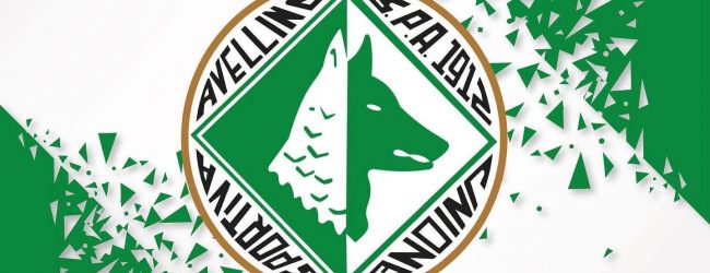 Nuovo tassello nell’Avellino: Giuseppe Izzo è il segretario generale