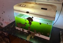 San Martino Valle Caudina: la storia di Luigi e di sua moglie. “Pensavamo di morire”