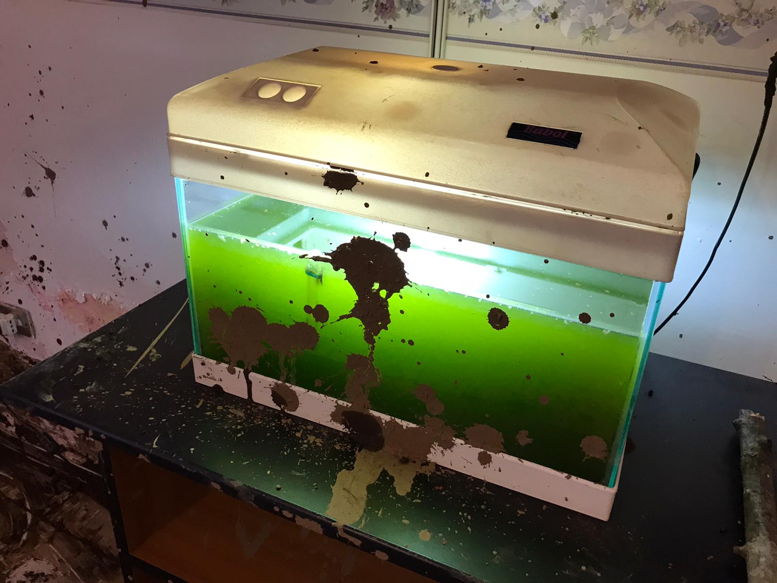 San Martino Valle Caudina: la storia di Luigi e di sua moglie. “Pensavamo di morire”