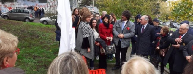 Benevento| Vandalizzata cassetta postale per donne vittime di violenza, la denuncia