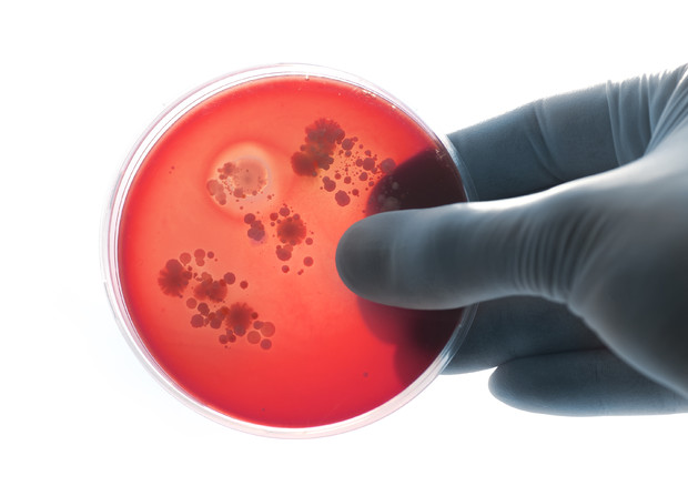 Benevento| Caso meningite: maestra fuori pericolo