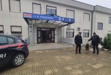 Cerreto Sannita| Controlli in Valle Telesina, eseguite perquisizioni, sequestri, fermi e denunce