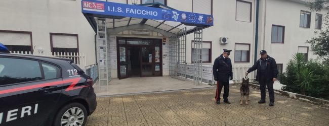 Cerreto Sannita| Controlli in Valle Telesina, eseguite perquisizioni, sequestri, fermi e denunce