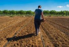 Lavoro, Coldiretti: +12% giovani nei campi, Campania seconda in Italia