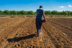 Lavoro, Coldiretti: +12% giovani nei campi, Campania seconda in Italia