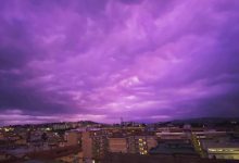 “Rosa” di sera…