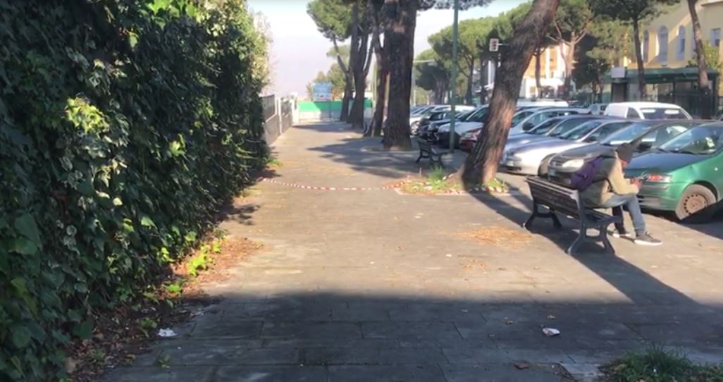 Benevento| Interrogatorio Pierina, l’avvocato Giorgione ha chiesto la perizia psichiatrica