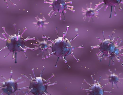 Coronavirus, la Regione invita le scuole a sospendere le gite