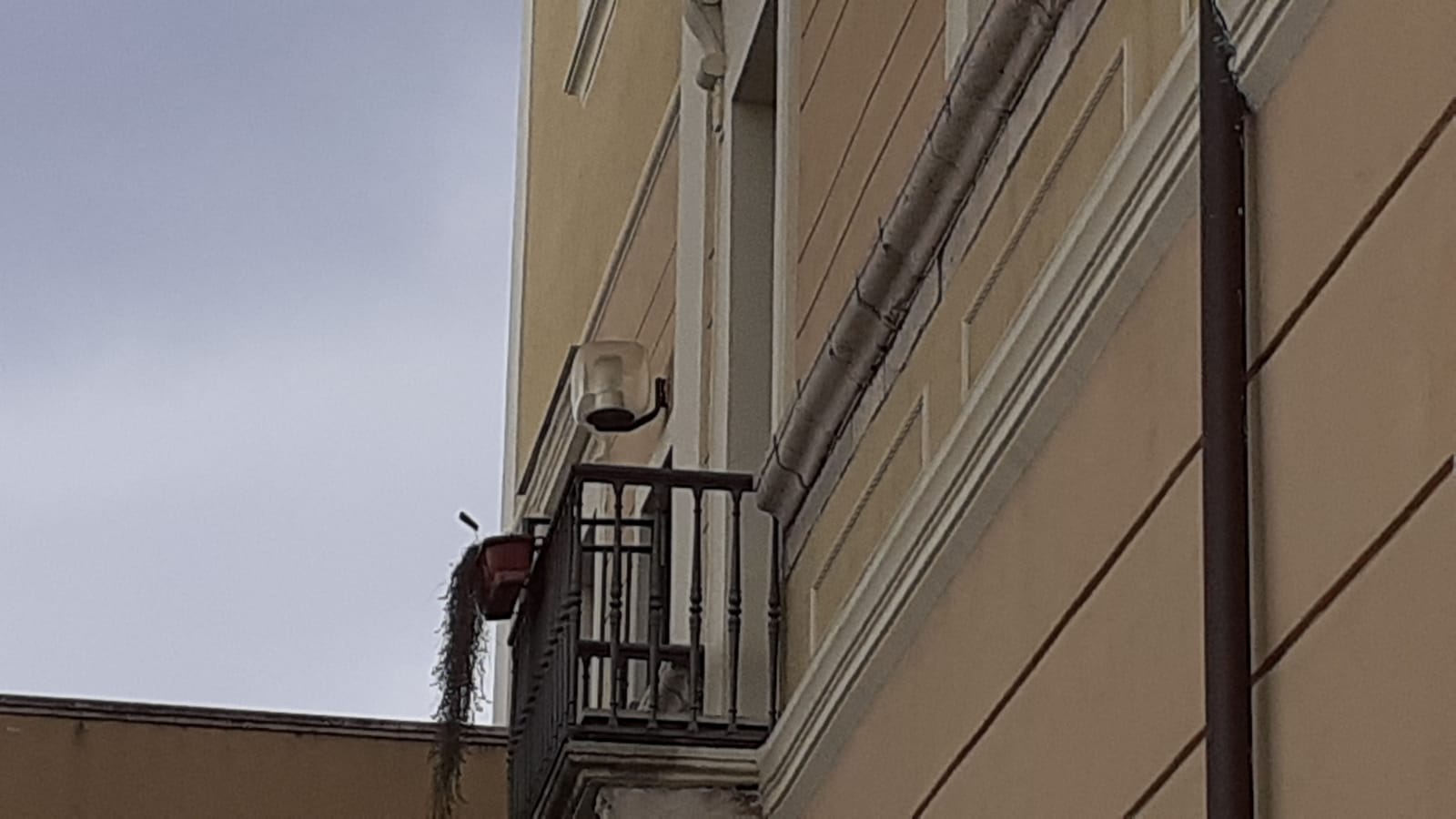 Benevento| Via libera della Giunta comunale ai criteri per distribuire i voucher alimentari