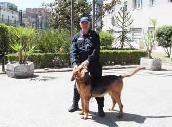 Benevento| In possesso di un panetto di hashish, denunciato 29enne