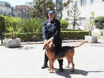 Benevento| In possesso di un panetto di hashish, denunciato 29enne