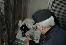 Paduli| Tre cani di taglia media e sei cuccioli in una discarica, provvidenziale l’intervento di Forestale e ASL