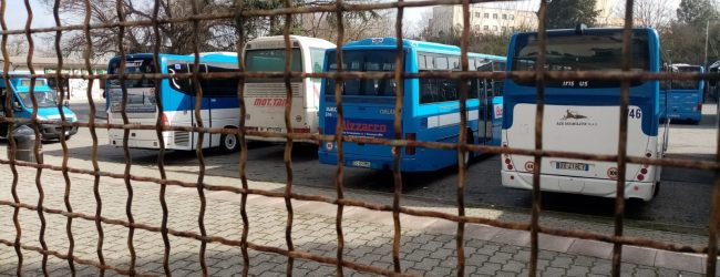 Benevento| Violenze contro autista, denunciato aggressore. Resta nodo Terminal Bus