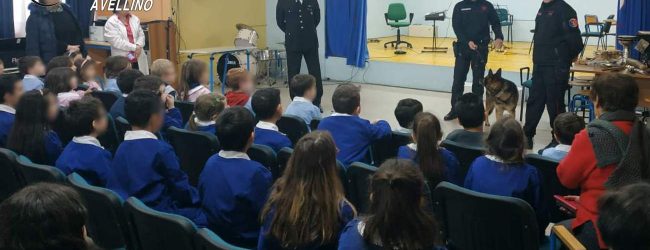 Paternopoli| Lotta alla droga, alla scuola “De Iorio” sale in cattedra il il cane dei carabinieri Pirat