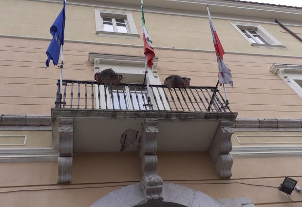 Vicenda Feola, le opposizioni in coro: dimissioni della Giunta