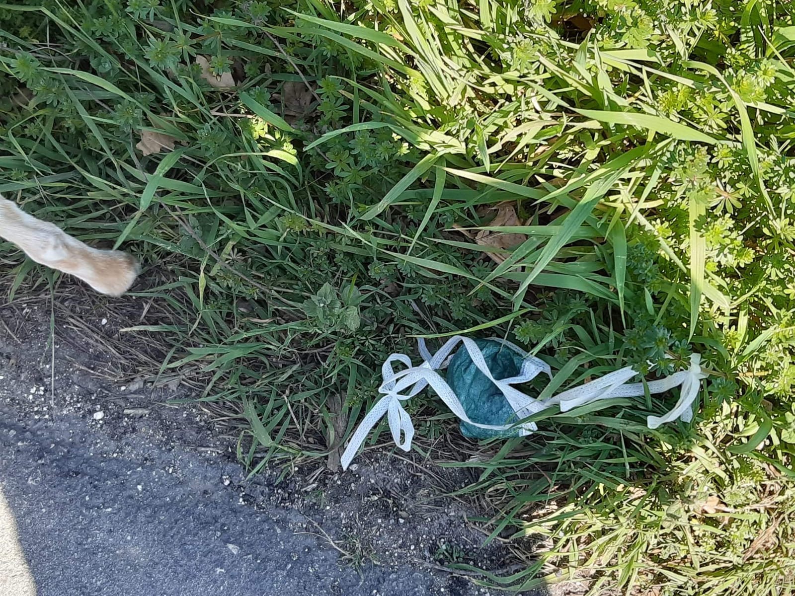 Benevento| Mascherine e guanti per strada , l Asia: “Potrebbero essere veicolo di diffusione, attenzione a dove li gettate”