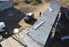 Sant’Agata de’ Goti| Allevamento di 50 suini abusivo: scatta il sequestro