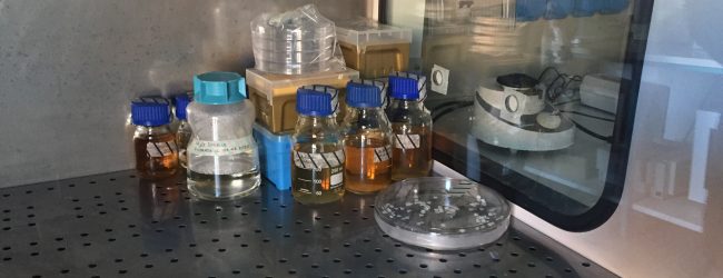 Unisannio: Focus su Coronavirus. L’approfondimento